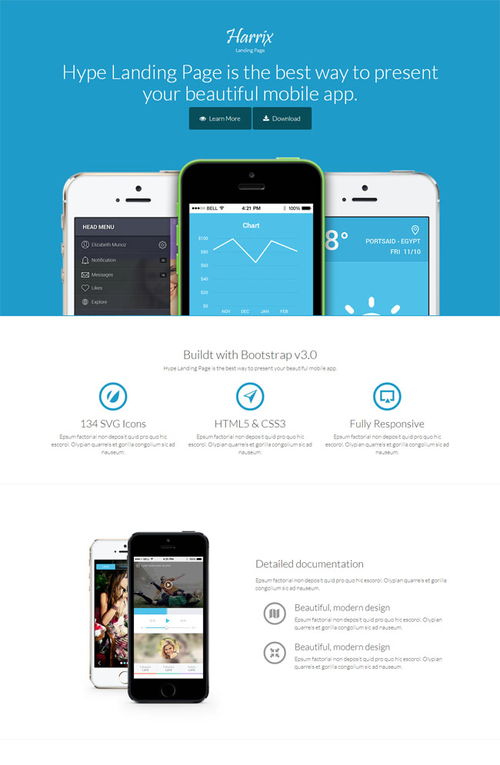 蓝色App应用软件展示模板